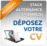 emploi administrateur culturel