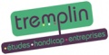 tremplin_logo_handicap_120