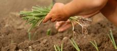 Agroalimentaire : Les entreprises confiantes pour 2012