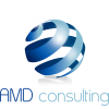 AMD Consulting